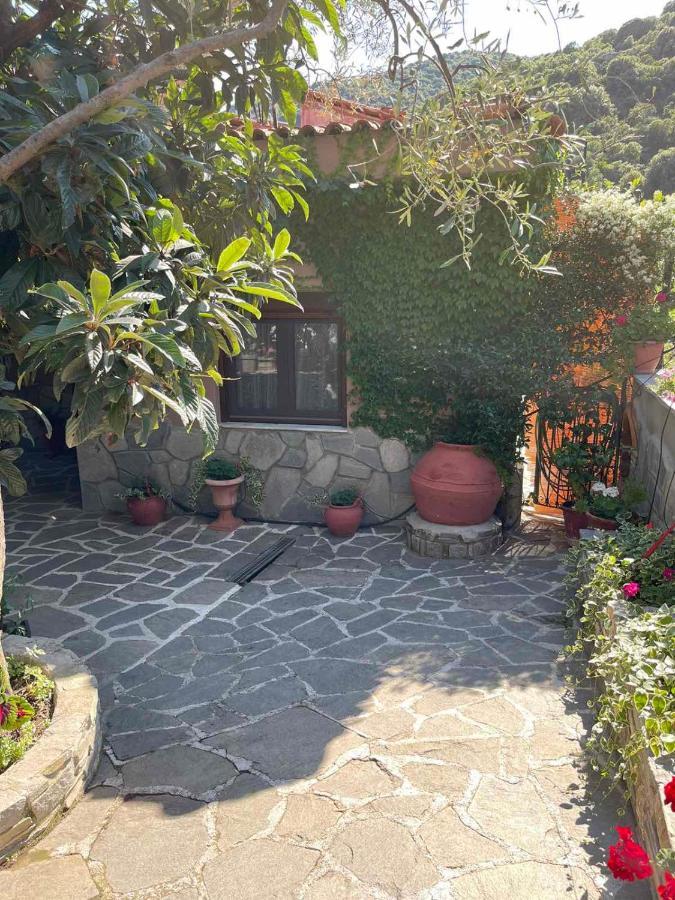 Theodoras House Guest House Nea Iraklitsa Exterior photo